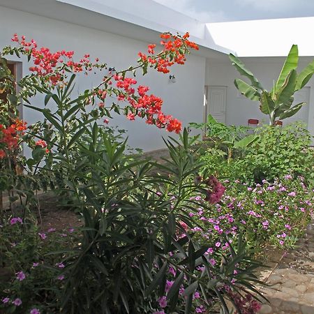 Villa Sao JosePedra Badejo  エクステリア 写真