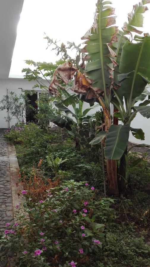 Villa Sao JosePedra Badejo  エクステリア 写真